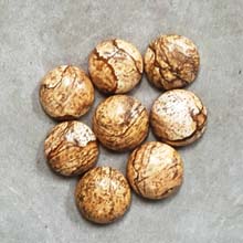 14MM ROUND CABOCHON PICTURE JASPER(8PCS/BAG)